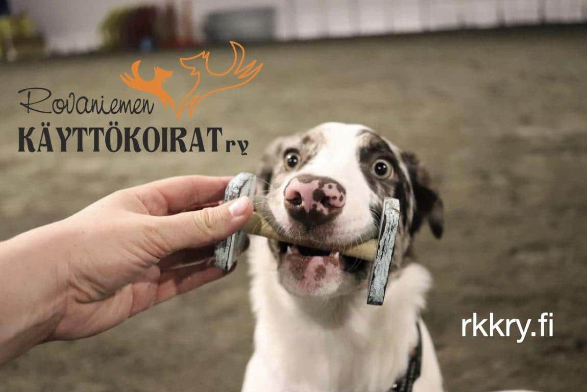 Rovaniemen Käyttökoirat ry