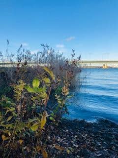 Lauttasaaren ala-aste 5K