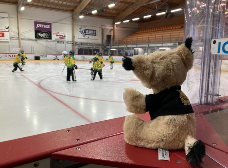 Ilves Ringette F