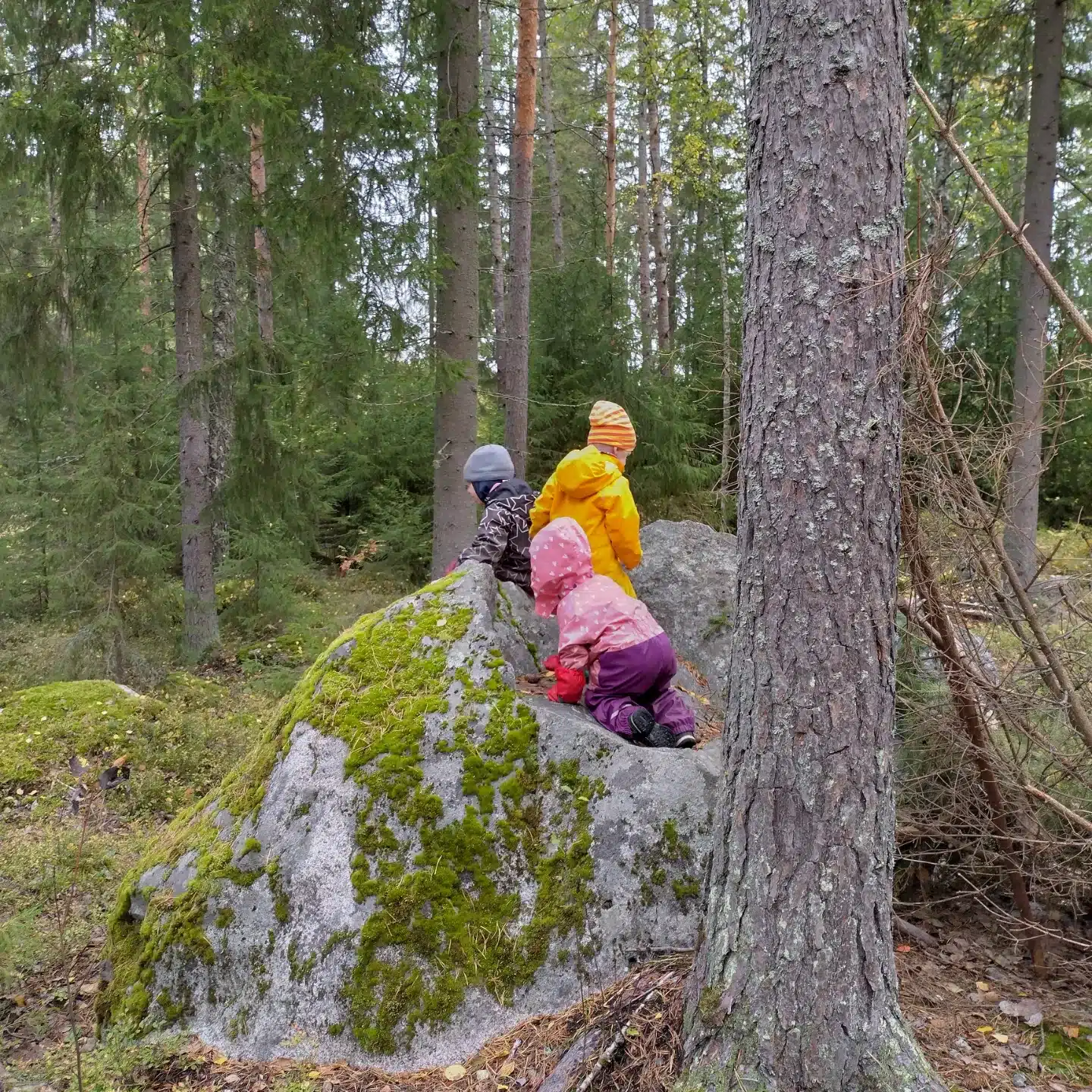 Hämeenlinnan seudun yksityiset perhepäivähoitajat