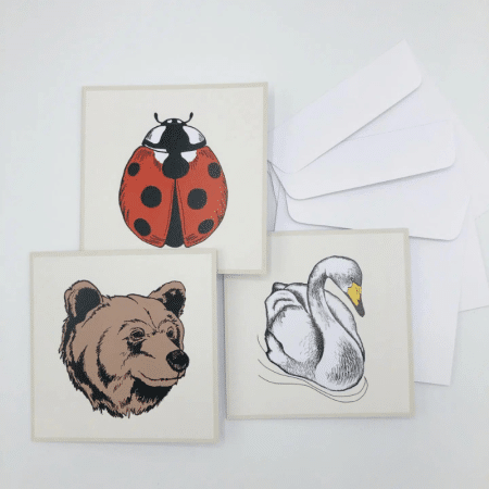 2-osainen onnittelukortti + kuori / 3 kpl pakkaus