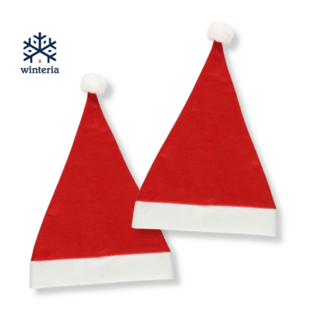 Winteria / Tonttulakki 2 kpl