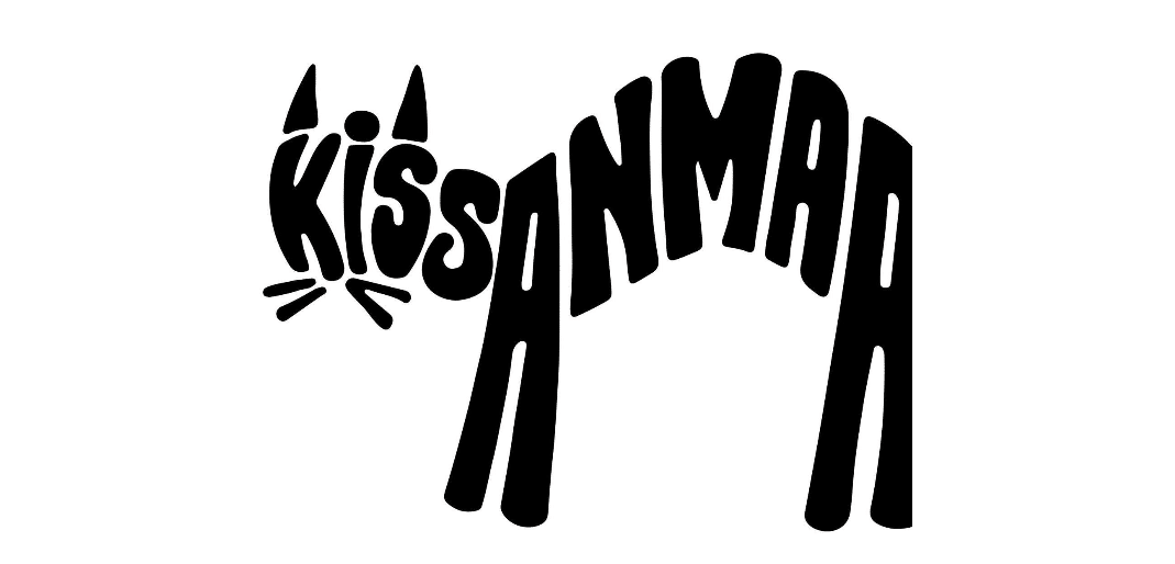 Kissanmaan koulun 6 C