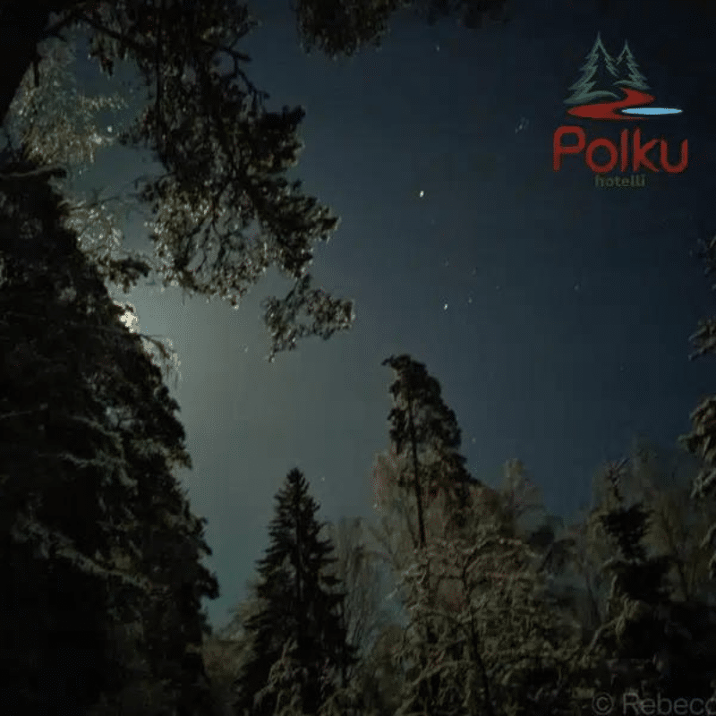 Polku Hotelli / Hämärän hetki - Retki Nuuksion kansallispuistoon eräoppaan mukana - Image 2