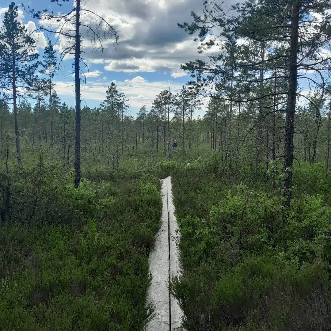 Törnävän koulu 3A