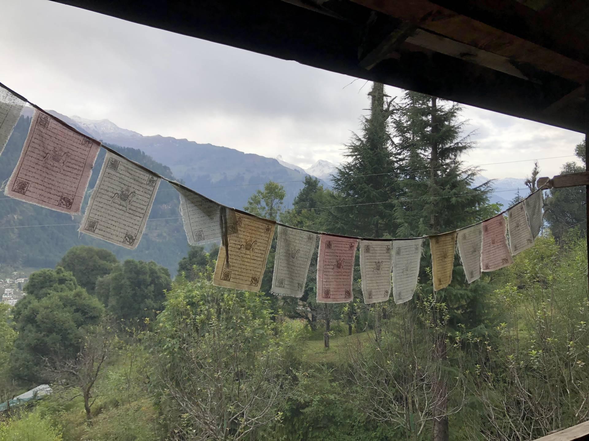 Kapua Nepali 2024