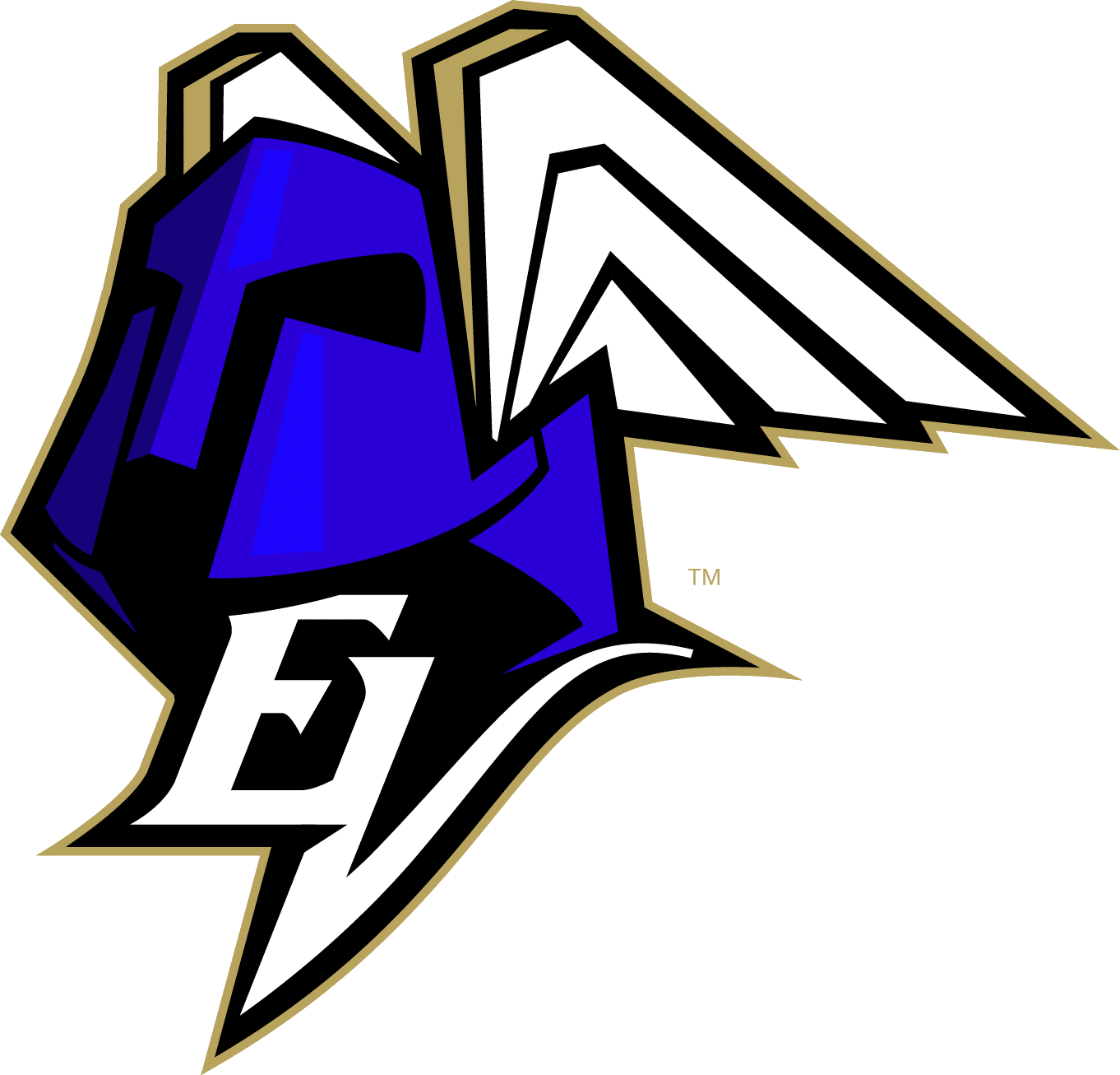 Eräviikingit T10