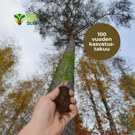 SunSilva / E-kasvatus: Istutettu puu & kasvatustodistus