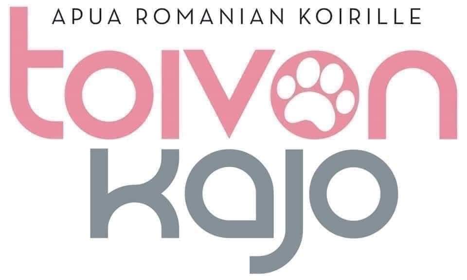 Toivon Kajo ry