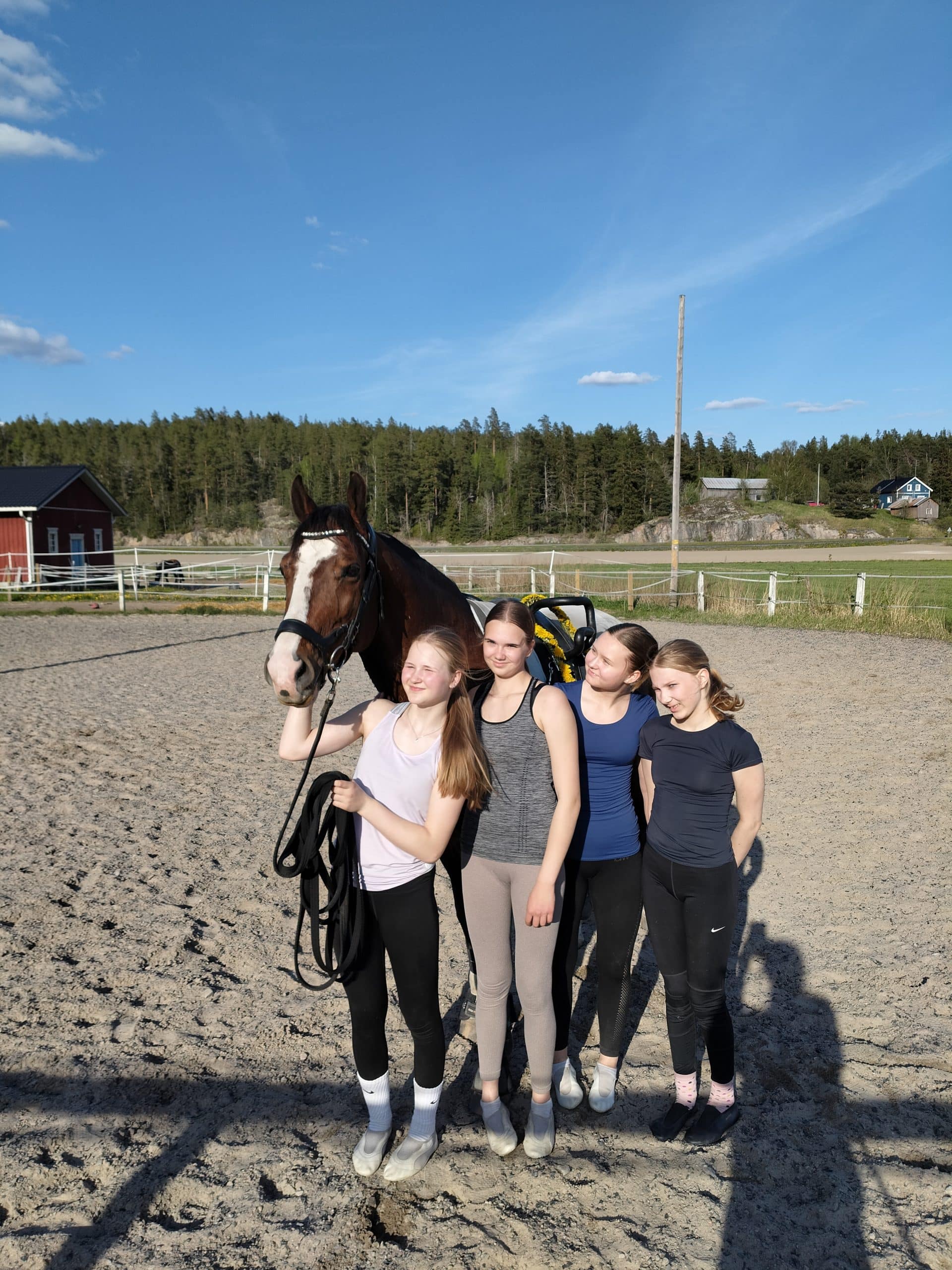 Rusthollin hevosurheilu