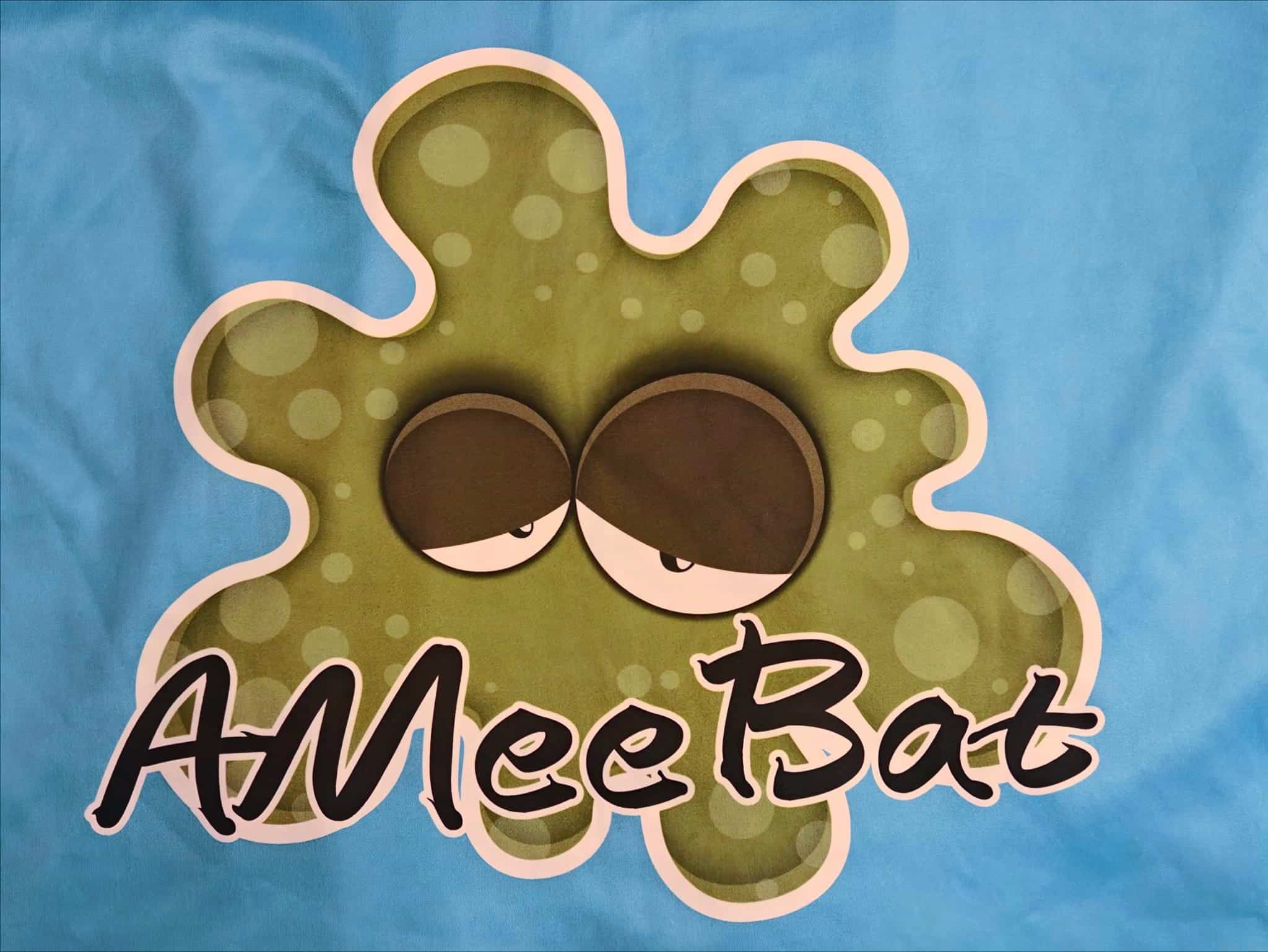 AMeeBat Ry