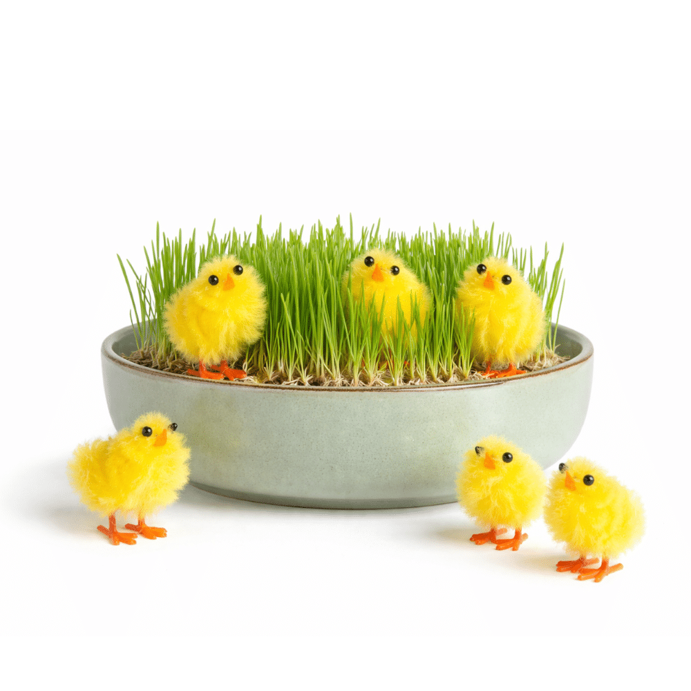 Verso / Pikkutipu 6kpl - Image 3