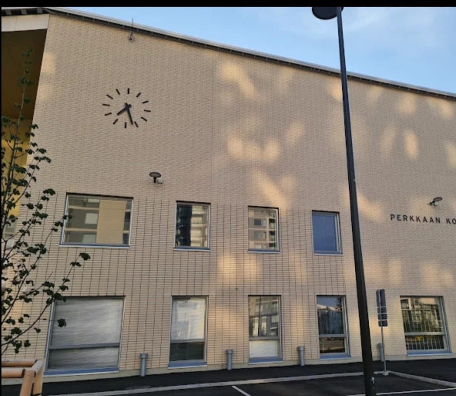 Perkkaan koulun 5 luokkalaiset